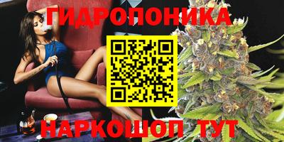 COCAINE Можга