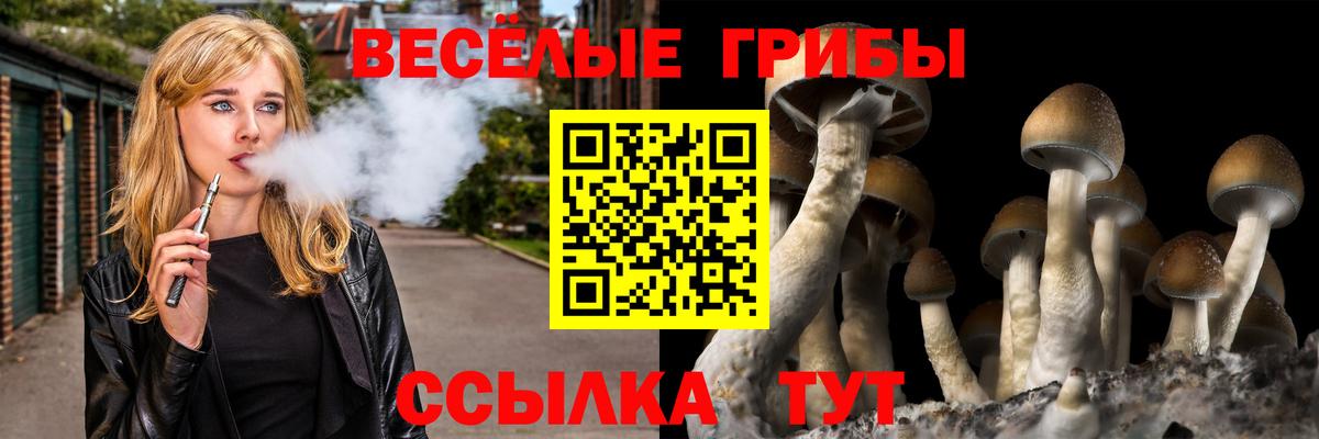 Воскресенск  Псилоцибиновые грибы прущие грибы  Галлюциногенные грибы мицелий  Вход с VPN 